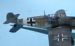 Crinius_II_2735.JPG