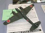 P1Y1 Ginga_II_1806.JPG