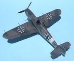 Crinius_II_8650.JPG