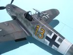 Crinius_II_8657.JPG