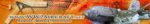 banner2b copy.gif