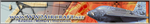 banner2C qith bordr.png