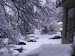 snow6_1203.jpg