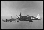 80sqnRAAF11.jpg