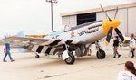 p51b.jpg