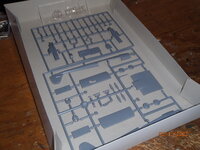 Sprues 1.JPG