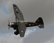 300px-Lysander_5_Aug_2012_a.jpg