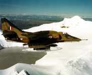 RNZAF.png