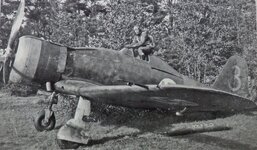 Camo_FA-6_0467.jpg