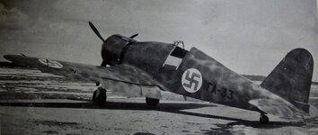 Camo_FA-33_0458.jpg