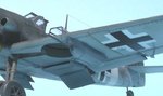 29_Crinius_II_8644.JPG