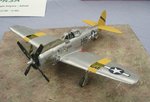 P-47N_1819.JPG