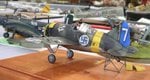 Finnish Buffalo_2272.JPG