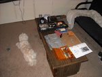 Picture 005.jpg