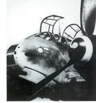 Scan0001.jpg