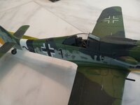 Focke Wulf Canopy 2.jpg