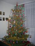 Christmas tree.jpg