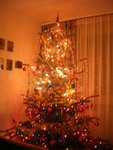 Christmas tree7a.jpg