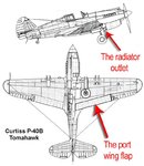 P-40B new.jpg
