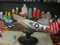 P-51 001.JPG