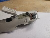IMG_20220710_185017.jpg