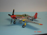 P-51 003.JPG