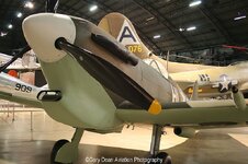 IMG_1458.jpg