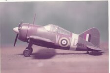 Buffalo RAF.jpg