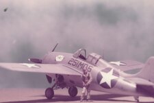F4F1942.jpg