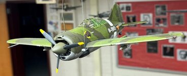 Ceiling Picture_Brewster B-339 Buffalo Dutch East Indies Air Corp.jpg