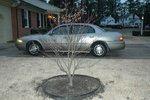 DSC_1261.jpg