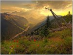 Breaking Sunlight, Mount Rainer, Washington.jpg