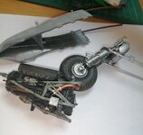 IMG_20220924_090647_397.jpg