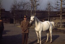 0040 First Snow- Emperor's Horse.jpg