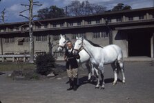 0042 Emperor's Horse.jpg
