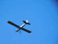 DSCN0724.JPG