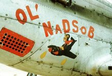 P-51D-30-NT 45-11742 1951 67th FBS 18th FBG 1951 39th FIS 18th FBG 10-18-1951 Shot down by gro...jpg