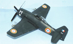 Bearcat 12.jpg