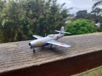 Yak23 jpg.jpg