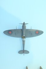 GB55-1_F7.jpg