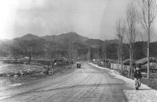 Massacre Valley Korea 12,000 casualties in 1951.jpg