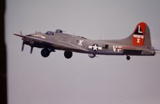 IMG_20221114_072826~2.jpg