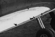 Spit wing.jpg
