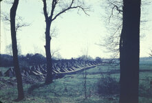 Dragon's Teeth - Saar- Siegfried Line 1955.JPG