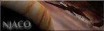 njaco3000c.jpg