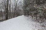 IMG_1350 resized 20.jpg