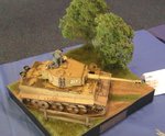 3_Tiger I_217_0500.JPG