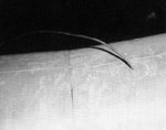 antenna fuselage mount D-9_.jpg