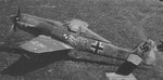 fw190D9 red13.jpg