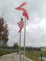 IMG_20221206_095536.jpg